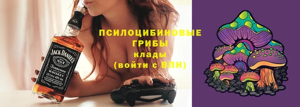 хмурый Мегион