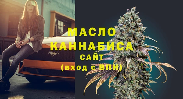 хмурый Мегион