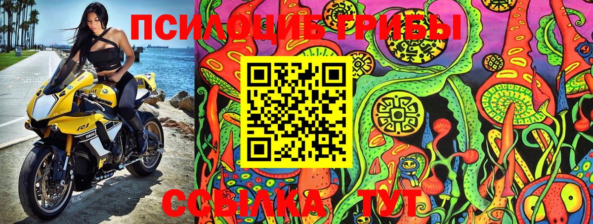 Новочебоксарск  Псилоцибиновые грибы Psilocybe  Вход с VPN 
