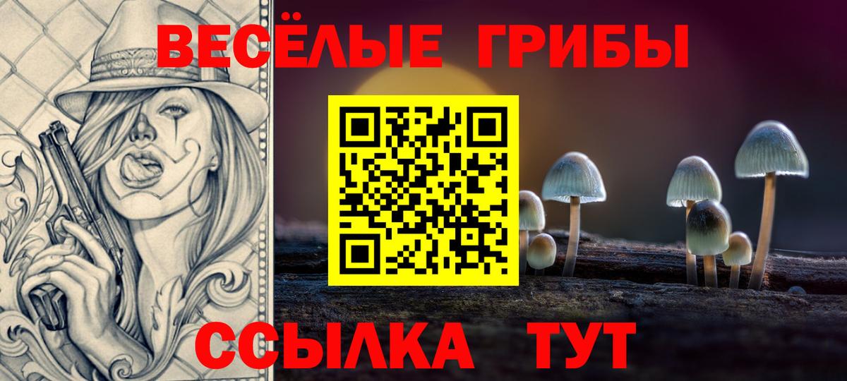 Галлюциногенные грибы Cubensis  Новочебоксарск  Псилоцибиновые грибы мицелий 