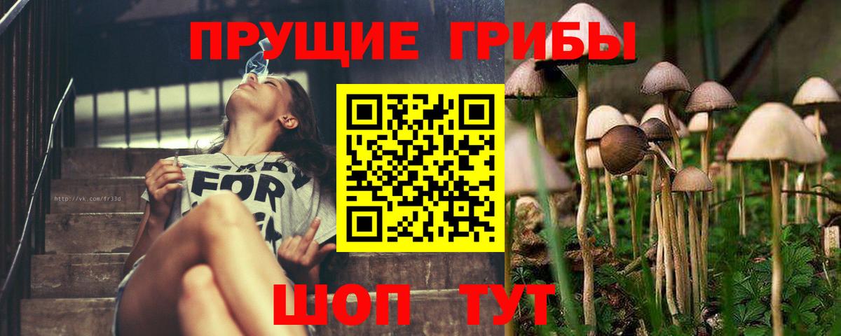 Псилоцибиновые грибы мухоморы Новочебоксарск