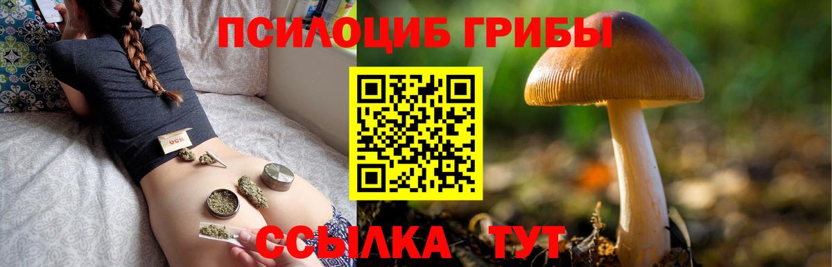 Псилоцибиновые грибы Psilocybine cubensis Новочебоксарск